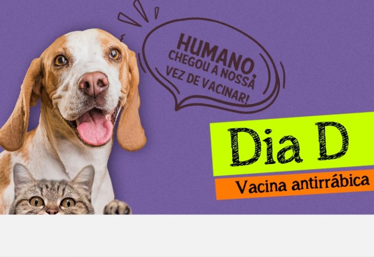 COLATINA VAI VACINAR CÃES E GATOS CONTRA A RAIVA